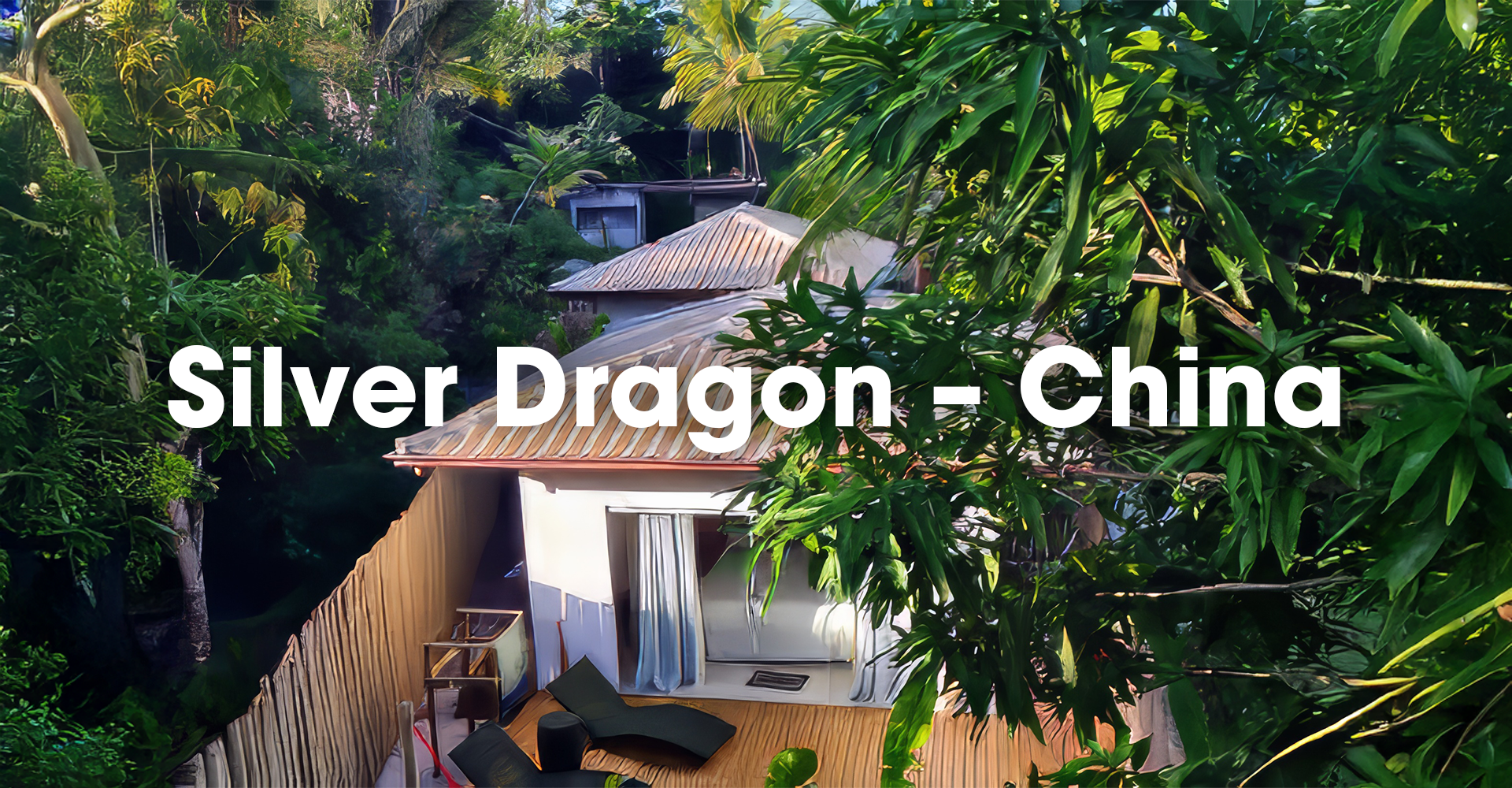 silver dragon china home
